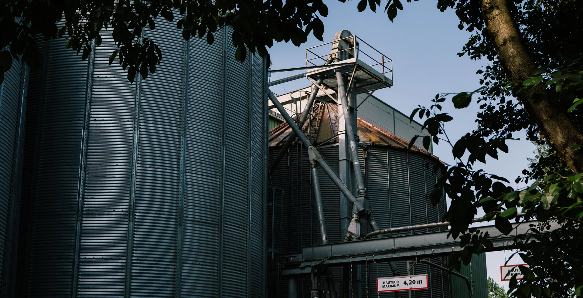 Silos métalliques de stockage du grain et leurs élévateurs, au moulin Marion